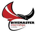 divemaster internship
